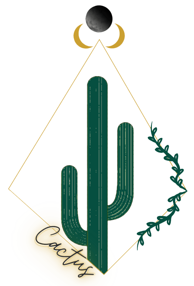 Locks by Cactus Logo